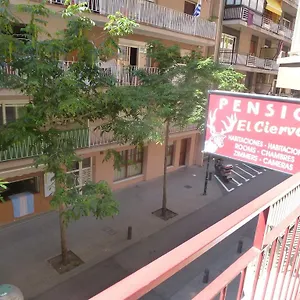 El Ciervo Gasthof